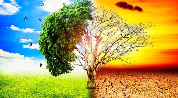 Pemanasan Global dan Dampaknya terhadap Kebijakan Pembangunan